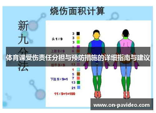 体育课受伤责任分担与预防措施的详细指南与建议