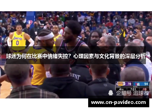 球迷为何在比赛中情绪失控？心理因素与文化背景的深层分析