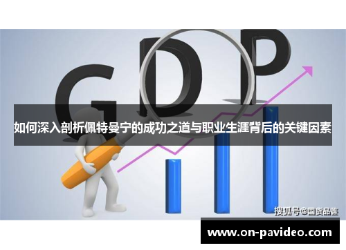 如何深入剖析佩特曼宁的成功之道与职业生涯背后的关键因素