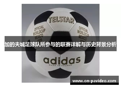 加的夫城足球队所参与的联赛详解与历史背景分析