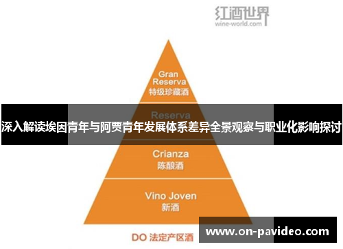 深入解读埃因青年与阿贾青年发展体系差异全景观察与职业化影响探讨