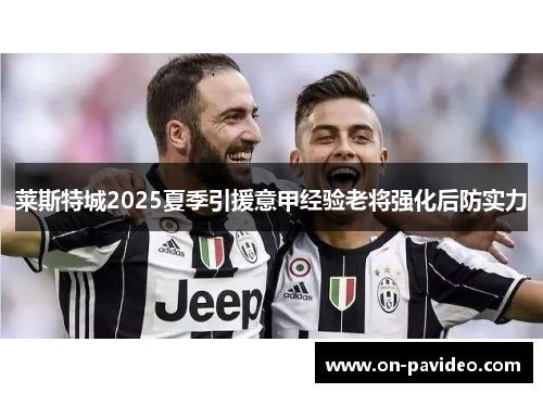 莱斯特城2025夏季引援意甲经验老将强化后防实力 莱斯特城2025夏季引援意甲经验老将强化后防实力
