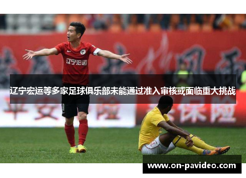 辽宁宏运等多家足球俱乐部未能通过准入审核或面临重大挑战 辽宁宏运等多家足球俱乐部未能通过准入审核或面临重大挑战